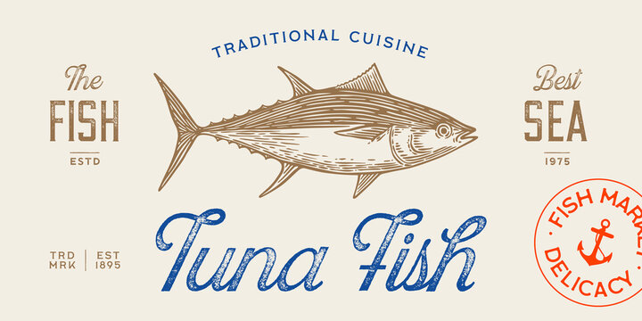 Tuna Fish, seafood, sketch. Brand identity layout features nautical emblem tuna fish. Retro typography artisanal stamp design tuna fish for coastal restaurant. Vector Illustration