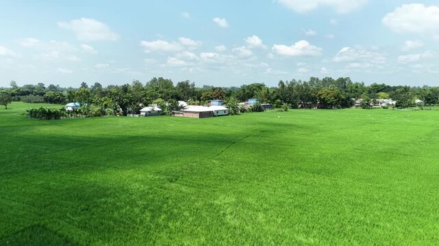 arial view of green  agriculture field 