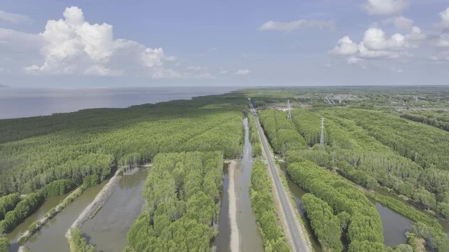 Aerial drone view of Mui Ca Mau National Park in Dat Mui, Ca Mau, Vietnam, featuring the national flagpole and coordinate marker surrounded by sunlit mangrove forests.