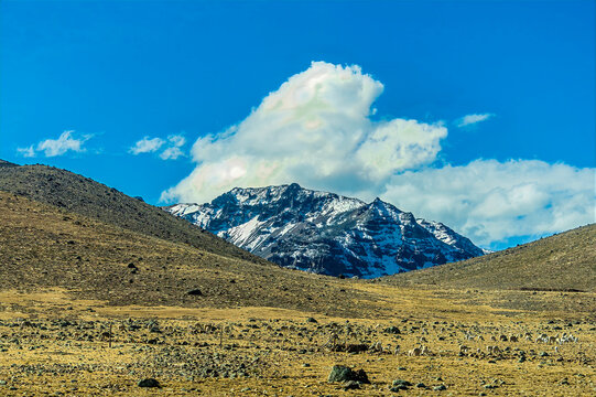 A view of rugged, high altitude landscape with a prominent snow-capped peak rising above dry rolling terrain in the Andes in southern Peru in the dry season