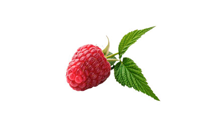 Fresh red raspberry berry with green leaves organic fruit isolated on transparent background © Ward