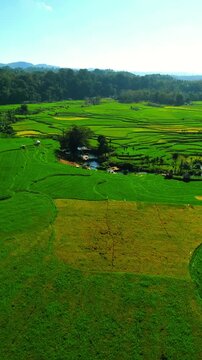Weekacura Waterfall in West Sumba, Indonesia