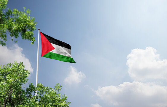 Palestine national flag waving in the sky behind the tree. The flag waving in the sky. Palestine national flag for independence day. Free palenstine, no war. Save palenstine.