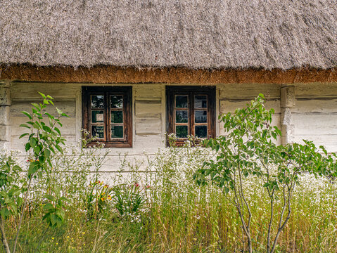 Thatched Cottage With Wooden Windows and Wildflowers in Rustic Countryside Garden