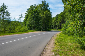 Horizontal scenic view of an empty asphalt road curving through a lush green forest under a blue sky. Great for road trip concepts, travel brochures, and summer journey landscape themes. © Margarita
