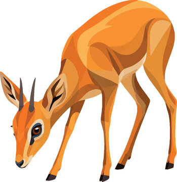 dik-dik grazing alert, three-quarter view, full body, antelope, savanna herbivore, vector illustration