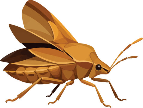 stink bug with raised forewings, side profile facing right, full body insect, pest, vector illustration