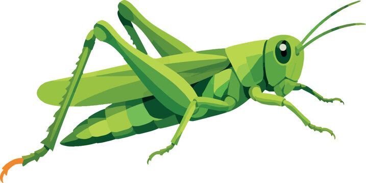 grasshopper mid leap side profile full body decorative vector illustration