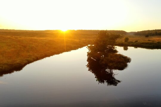 Aerial view of Klosterhede Plantage at sunset with golden light reflecting on the calm pond surface in Denmark.