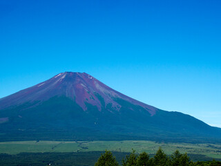 Fototapeta premium 夏の山梨側からの富士山