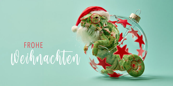 Frohe Weihnachten Tier Konzept Gru&szlig;karte Postkarte lang mit deutschem Text - Cooles lustiges Cham&auml;leon mit Nikolausm&uuml;tze oder Weihnachtsmannm&uuml;tze und Christbaumkugel, isoliert auf t&uuml;rkisem Hintergrund