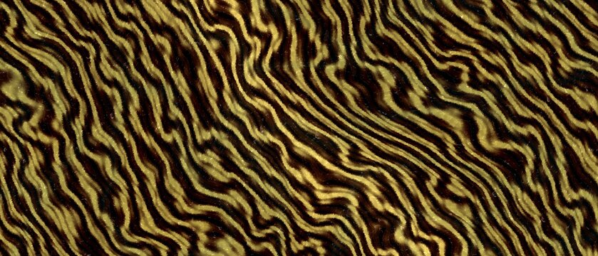 Dynamic tortoiseshell pattern, bold amber and black stripes, energetic animalistic texture, modern decorative background