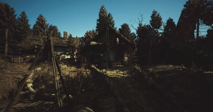 sunlit rustic cabin in pine clearing, overgrown path leading to weathered porch, warm lowangle light creating long shadows across dry grass, scattered stones