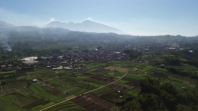 Aerial drone footage of rural village and green vegetable farmland with Mount Panderman background in Pujon, Malang
