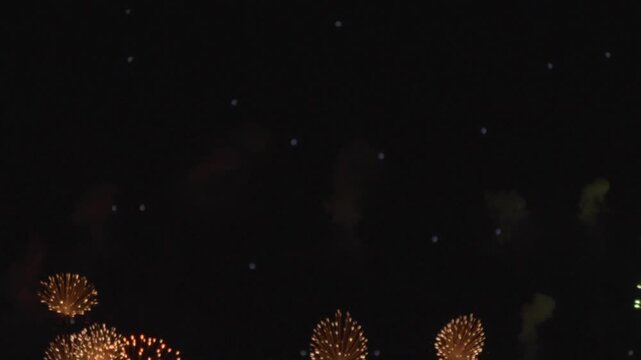 fireworks in the night sky