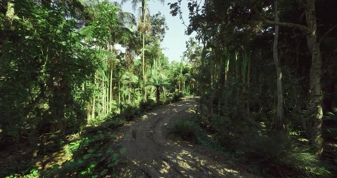 Open forest clearing with sunlit path, meadow edge and sky view with wildflowers and gentle breeze, calm setting suited for meditation, wellness and guided