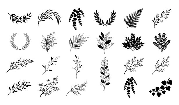 Black and white botanical leafy branch ornaments elegant vector illustration set