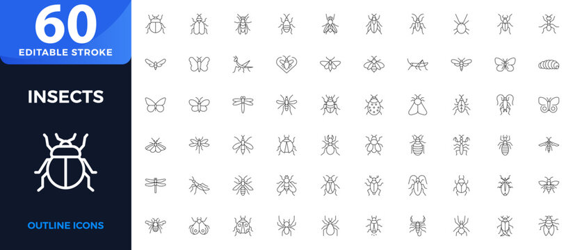 Insect Outline Icons Set with Ant, Mosquito, Butterfly, Spider, Bee, Beetle, Dragonfly, Pest Control, Wildlife, Biology, Nature, Zoology, and Educational. Editable stroke outline icon.
