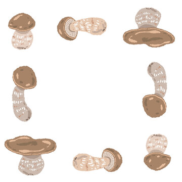 Porcini Mushroom Square Frame Hand Drawn Vector Illustration