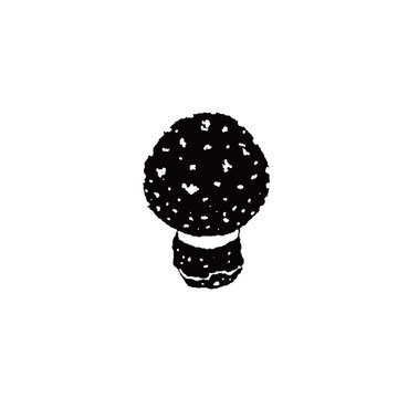 Single Young Fly Agaric Mushroom Round Cap Monochrome Illustration