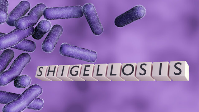 A 3d "SHIGELLOSIS" blocks over rod-shaped purple bacilli of shigella. a representation of bacterial gastroenteritis, pathology, and public health awareness.