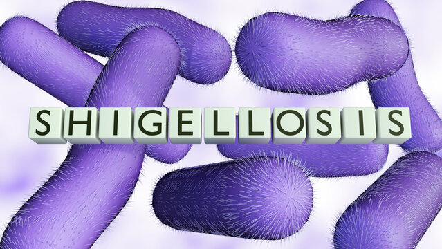 A 3d "SHIGELLOSIS" blocks over rod-shaped purple bacilli of shigella. a representation of bacterial gastroenteritis, pathology, and public health awareness.