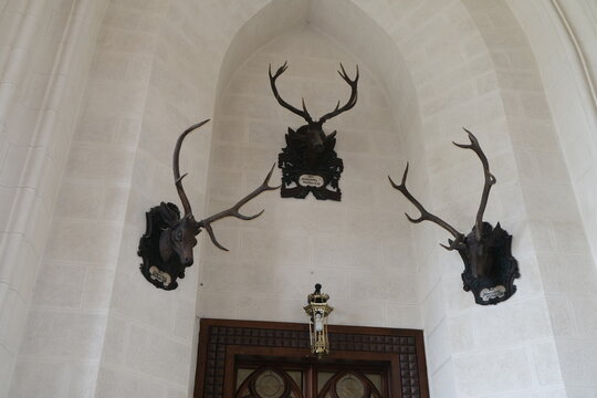 High-quality travel stock photo of famous Hluboka chateau courtyard detail. Unique wall decoration with hunting deer trophies and neo-gothic windows in Czechia for travel guide.
