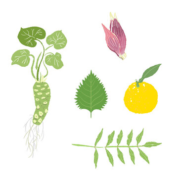 Assorted Fresh Japanese Herbs with Wasabi Leaf and Yuzu