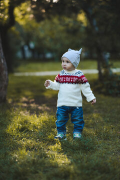 Kid boy 1 year old wearing knitted sweater and hat walking in autumn park. Childhood.