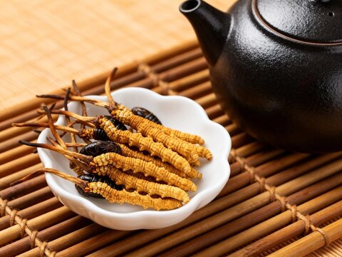 Cordyceps and Teapot Still Life on Bamboo Mat