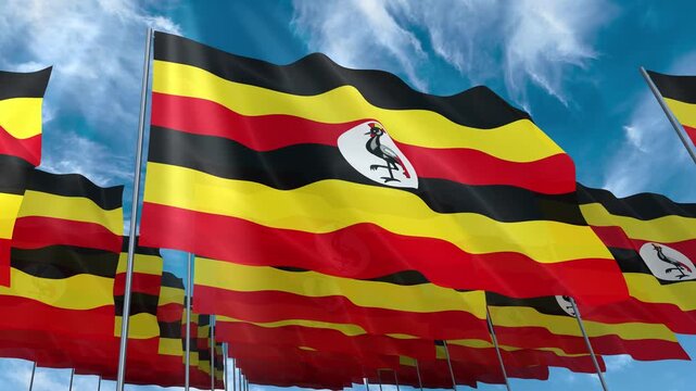 Multiple Uganda flags seamless looping waving on blue sky
