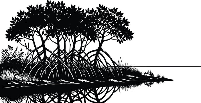 Black and white mangrove trees silhouette on the water edge