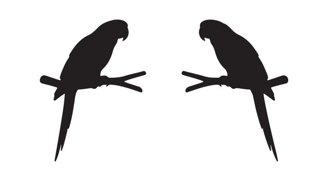 Two macaw parrots sitting on tree branches silhouette icon isolated on white