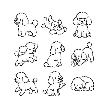 Cute Poodle Dog Collection in Different Poses, Hand Drawn Line Art