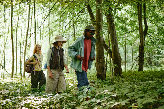 Diverse young adult friends hiking through dense green forest, exploring nature together. Image represents outdoor recreation and eco tourism, suitable for travel campaign