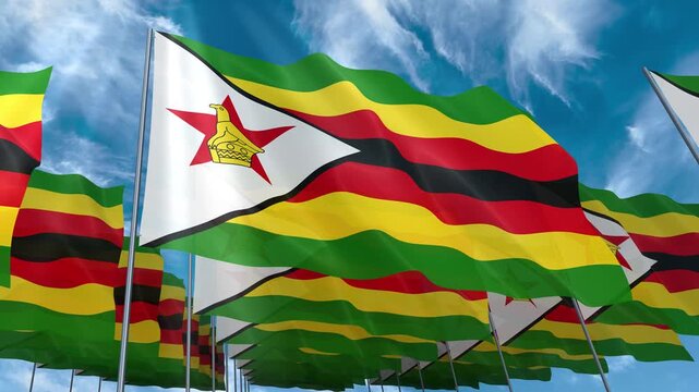 Multiple Zimbabwe flags seamless looping waving on blue sky