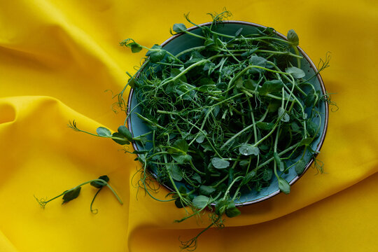 Microgreens in a plate on a yellow tablecloth.