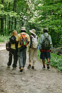 Vertical shot of diverse young adults hiking in forest, walking on dirt path with backpacks. Rear view of multiethnic friends enjoying outdoor adventure, promoting ecotourism