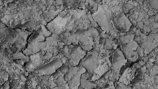 Cracked dry earth texture background close up view