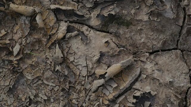 Dry cracked earth texture with peeling layers and small green sprouts