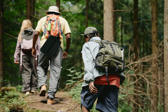 Diverse young adults hiking in forest with backpacks, rear view. Image represents outdoor recreation and eco tourism, suitable for active lifestyle marketing campaigns