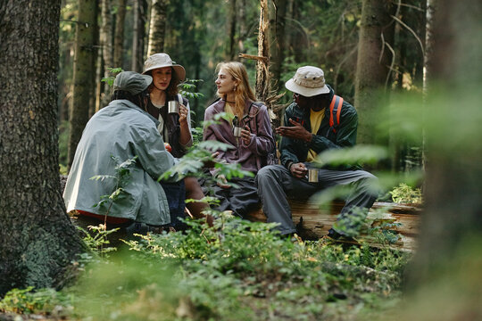 Diverse young adult friends sitting on log, talking and drinking during forest hike. Image ideal for eco tourism campaigns, outdoor gear marketing and active lifestyle promotions