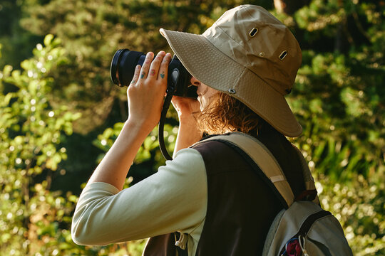 Young adult Caucasian woman hiking in forest and taking photos with professional camera. Image represents outdoor recreation and is suitable for travel marketing, medium shot
