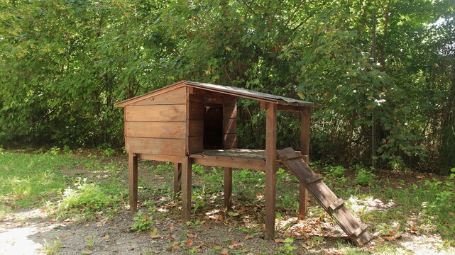 Casetta di legno al parco per le galline o conigli