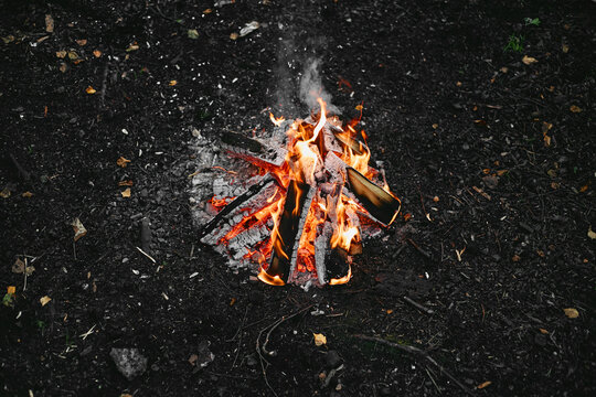 Campfire burning on ground in forest during outdoor adventure. High angle view of burning logs representing camping and survival, perfect for travel and tourism marketing