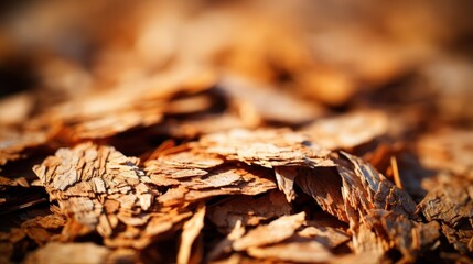 Fototapeta premium A close-up of dry bark mulch, revealing the intricate texture and subtle light reflecting off its surface