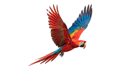 Beautiful bright colorful macaw parrot flying with wings open isolated on transparent background © Foster