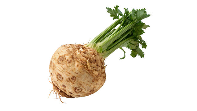 Fresh organic celeriac celery root vegetable with green stalks isolated on transparent background