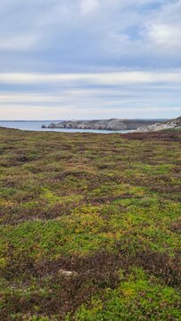 La pointe du Toulinguet vue depuis les landes de la pointe de Pen Hir (presqu'&icirc;le de Crozon, Finist&egrave;re, Bretagne)