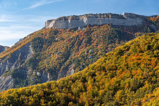 Petite Ceuse limestone cliffs in the Ceuze Massif near Gap with deciduous tree forest in full autumn colors. Hautes-Alpes, France